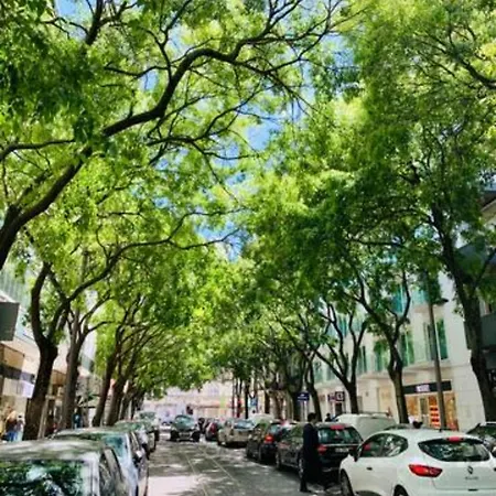 Vm - Cozy&quiet At Campo Ourique Lisboa