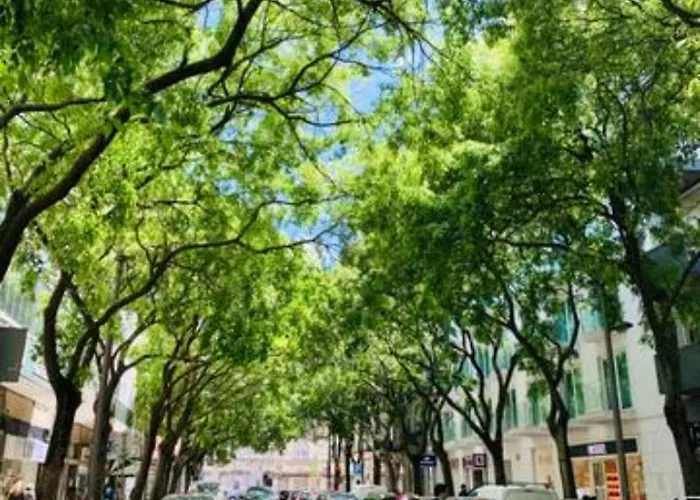 Vm - Cozy & Quiet At Campo Ourique Lisbon